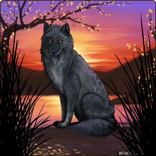 https://wolfplaygame.com/genstart.php?bgpic=33&shadow=Y&sex=F&base=78&rank=A&piebald1=0&legtype=0&tailtype=0&pointscolor=0&brindle=0&eyes=19&muzzletype=0&muzzlecolor=0&headtype=0&ears=0&shoulder=0&backtype=13&backcolor=67&speckletype=0&specklecolor=0&eecolor=67&eetype=1&nose=9&okapi=0&leopard=0&decor1=349&gear=0&harl=0&bel=0&som=0&pietype=0&alt=4&backtype2=0&backcolor2=0&a1=1&a2=2&a3=3&a4=4&a5=5&a6=6&a7=7&a11=8&a8=11&a9=10&a10=9&a12=12&a13=14&a14=15&a15=16&a16=17&a17=13&b1=100&b2=100&b3=100&b4=100&b5=100&b6=100&b7=100&b8=100&b9=100&b10=100&b11=100&b12=100&b13=100&b14=100&b15=100&b16=100&b17=100&age=9&custom=Y