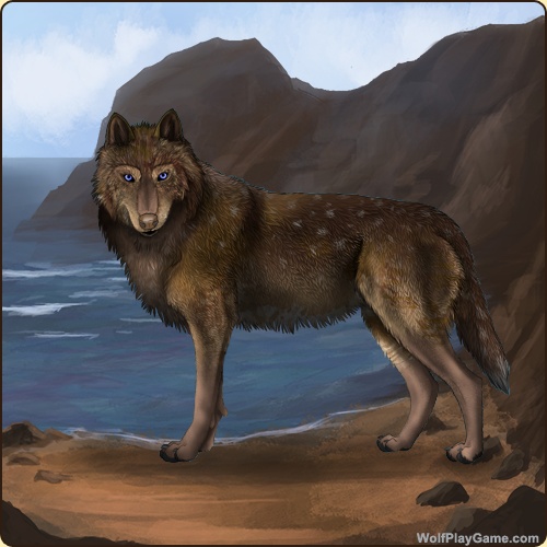 genstart.php?bgpic=31&shadow=Y&sex=M&base=69&rank=A&piebald1=9&legtype=2&tailtype=2&pointscolor=48&brindle=7&eyes=2&muzzletype=2&muzzlecolor=48&headtype=6&ears=1&shoulder=9&backtype=3&backcolor=48&speckletype=3&specklecolor=2&eecolor=9&eetype=1&nose=3&okapi=9&leopard=7&decor1=0&gear=0&harl=7&bel=7&som=65&pietype=1&alt=1&backtype2=0&backcolor2=0&a1=1&a2=2&a3=3&a4=4&a5=5&a6=6&a7=7&a11=8&a8=11&a9=10&a10=9&a12=12&a13=14&a14=15&a15=16&a16=17&a17=13&b1=100&b2=100&b3=100&b4=100&b5=100&b6=100&b7=100&b8=100&b9=100&b10=100&b11=100&b12=100&b13=100&b14=100&b15=100&b16=100&b17=100