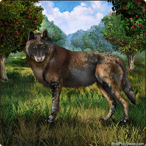 genstart.php?bgpic=38&shadow=Y&sex=M&base=15&rank=A&piebald1=8&legtype=5&tailtype=4&pointscolor=5&brindle=40&eyes=14&muzzletype=3&muzzlecolor=6&headtype=5&ears=1&shoulder=65&backtype=4&backcolor=1&speckletype=2&specklecolor=65&eecolor=1&eetype=1&nose=1&okapi=11&leopard=40&decor1=0&gear=0&harl=9&bel=6&som=40&pietype=2&alt=1&backtype2=0&backcolor2=0&a1=1&a2=2&a3=3&a4=4&a5=5&a6=6&a7=7&a11=8&a8=11&a9=10&a10=9&a12=12&a13=14&a14=15&a15=16&a16=17&a17=13&b1=100&b2=100&b3=100&b4=100&b5=100&b6=100&b7=100&b8=100&b9=100&b10=100&b11=100&b12=100&b13=100&b14=100&b15=100&b16=100&b17=100