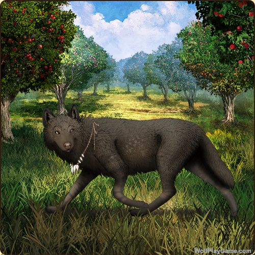 genstart.php?bgpic=38&shadow=Y&sex=M&base=53&rank=B&piebald1=0&legtype=0&tailtype=0&pointscolor=0&brindle=0&eyes=6&muzzletype=0&muzzlecolor=0&headtype=0&ears=0&shoulder=0&backtype=11&backcolor=4&speckletype=0&specklecolor=0&eecolor=40&eetype=1&nose=3&okapi=67&leopard=0&decor1=0&gear=56&harl=0&bel=0&som=0&pietype=0&alt=1&backtype2=0&backcolor2=0&a1=1&a2=2&a3=3&a4=4&a5=5&a6=6&a7=7&a11=8&a8=11&a9=10&a10=9&a12=12&a13=14&a14=15&a15=16&a16=17&a17=13&b1=100&b2=100&b3=43&b4=100&b5=100&b6=100&b7=100&b8=100&b9=100&b10=100&b11=100&b12=100&b13=100&b14=59&b15=100&b16=100&b17=100