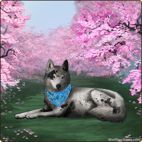 genstart.php?bgpic=39&shadow=Y&sex=F&base=30&rank=O&piebald1=1&legtype=3&tailtype=0&pointscolor=1&brindle=1&eyes=1&muzzletype=0&muzzlecolor=0&headtype=10&ears=0&shoulder=0&backtype=3&backcolor=1&speckletype=0&specklecolor=1&eecolor=0&eetype=0&nose=0&okapi=67&leopard=0&decor1=0&gear=30&harl=67&bel=0&som=1&pietype=4&alt=1&backtype2=2&backcolor2=2&a1=1&a2=2&a3=3&a4=4&a5=5&a6=6&a7=7&a11=8&a8=11&a9=10&a10=9&a12=12&a13=14&a14=15&a15=16&a16=17&a17=13&b1=100&b2=100&b3=100&b4=100&b5=100&b6=100&b7=100&b8=100&b9=100&b10=100&b11=100&b12=100&b13=100&b14=100&b15=100&b16=100&b17=100