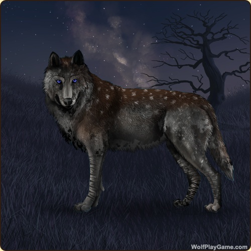 genstart.php?bgpic=70&shadow=Y&sex=M&base=40&rank=A&piebald1=40&legtype=7&tailtype=3&pointscolor=40&brindle=2&eyes=3&muzzletype=2&muzzlecolor=4&headtype=8&ears=1&shoulder=48&backtype=1&backcolor=48&speckletype=3&specklecolor=1&eecolor=40&eetype=3&nose=0&okapi=40&leopard=5&decor1=0&gear=0&harl=40&bel=4&som=5&pietype=1&alt=1&backtype2=0&backcolor2=0&a1=1&a2=2&a3=3&a4=4&a5=5&a6=6&a7=7&a11=8&a8=11&a9=10&a10=9&a12=12&a13=14&a14=15&a15=16&a16=17&a17=13&b1=100&b2=100&b3=100&b4=100&b5=100&b6=100&b7=100&b8=100&b9=100&b10=100&b11=100&b12=100&b13=100&b14=100&b15=100&b16=100&b17=100