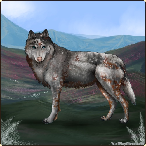 from legendary craft pelt to how bear Wolf    Breeding Game Games  Wolf  Game! Wolf Wolf Play  Fun