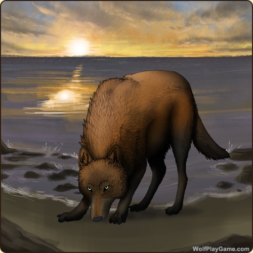https://wolfplaygame.com/wolf.php?id=2738643