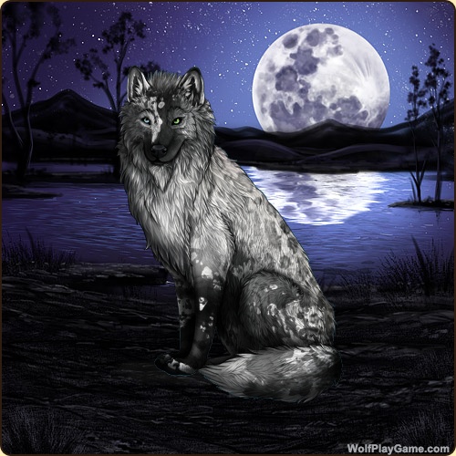 genstart.php?decor=Y&id=4009096&tm=1664927347