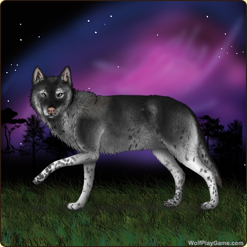 genstart.php?decor=Y&id=5685036&v=1758211704