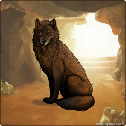 genstart.php?decor=Y&id=5709177&v=1761407215