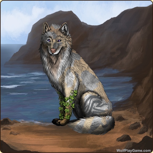 genstart.php?decor=Y&id=5809613&v=1761407212