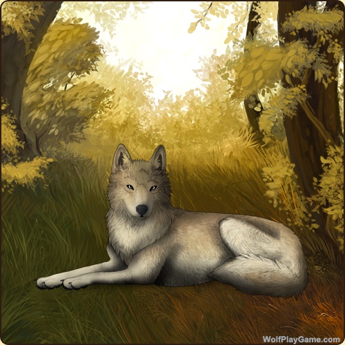 wolf link