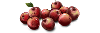 apples_10.png