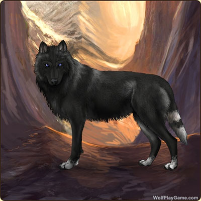 Wolf Play - Online Wolf Game!