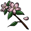 appleblossoms.png