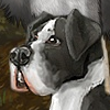 Great Dane