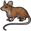 mouse2.png
