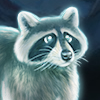 Raccoon Spirit