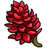 redgingerflower.png