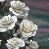 Border - White Roses