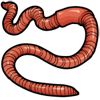 worm.png