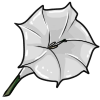 moonflower.png