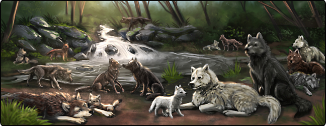 Wolf Play - Online Wolf Game!